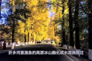娱乐吃瓜君的作品